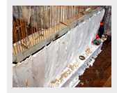 Manpower for Waterproofing and Insulation Works